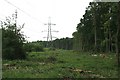 TQ1462 : Electricity transmission line across Arbrook Common by Hugh Craddock