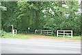 TQ1463 : Equestrian crossing on Esher Common by Hugh Craddock