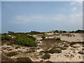 NJ0464 : Dune landscape at Findhorn by Alan O'Dowd