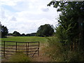 TM3284 : Footpath off Wash Lane by Geographer