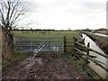 ST2783 : Muddy entrance to a field near Coedkernew by Jaggery