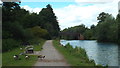 TL3712 : Geese on the towpath, near Ware by Malc McDonald