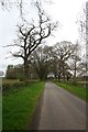  : Lane west of Burtholme by Dave Dunford