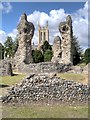 TL8564 : Abbey Ruins, Bury St Edmunds by David Dixon