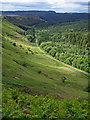 SE8293 : Newtondale towards Skelton Tower by Scott Robinson