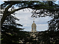 SK8932 : Cupola through the cedar tree by Alan Murray-Rust