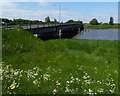 TF6118 : Free Bridge crossing the River Great Ouse by Mat Fascione