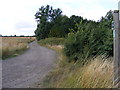 TM3269 : Footpath to the former Badingham Hall, Punchard's Farm & Wood Farm by Geographer