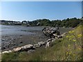 SX5053 : Hooe Lake with a hulk by David Smith