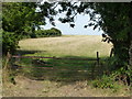 TL1590 : Paddock gates on Folksworth Road by Richard Humphrey