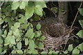 TL2182 : Nest, near Wood Walton church by Christopher Hilton