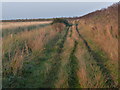 TF6128 : Grassy track at the base of the sea bank by Mat Fascione