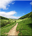 SE8492 : Horcum Slack Valley by Scott Robinson