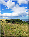 TA0685 : Cleveland Way Towards Scarborough by Scott Robinson