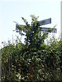 TM2890 : Roadsign on Upgate Street by Geographer