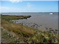 TG5007 : Small peninsula, Breydon South Flats by Christine Johnstone