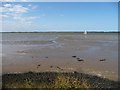 TG4907 : Site of mapped causeway, Breydon South Flats by Christine Johnstone