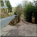 SO4620 : Entrance drive to The Sandhouse east of Skenfrith by Jaggery