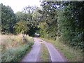 TM0982 : Darrow Wood Lane, Bressingham Common by Geographer