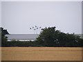 TM1083 : Wind Turbines at Shelfanger Hall by Geographer