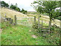 SE0127 : Double stile on Hebden Royd FP29 by Humphrey Bolton