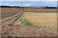  : Farmland track by Philip Halling