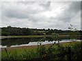 TQ3329 : Ardingly Reservoir by Paul Gillett