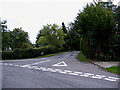 TM1384 : Bridge Road, Mill Green by Geographer