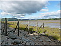 NX8150 : Remains of a groyne, Auchencairn Bay by Alan O'Dowd