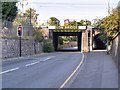 SK9134 : Springfield Road Railway Bridge by David Dixon