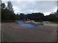 ST1320 : Skateboard and cycle park, Wellington Leisure Centre by David Smith