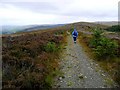 NT4231 : On the Southern Upland Way to Broomy Law by Gordon Brown