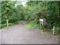 SO6113 : Footpath and cycleway junction at White Gates by Christine Johnstone