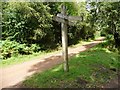 SO6113 : Signpost at the cycleway junction by Christine Johnstone