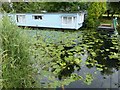 SU8300 : Houseboat and personal foot ferry by Rob Farrow