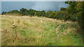 TQ0692 : Footpath at Batchworth Heath by Malc McDonald