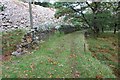 SH6742 : Trackbed of the old Ffestiniog Railway at Dduallt by Jeff Buck