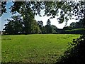 SP9207 : Cholesbury Camp (7) - The enclosure from the north by Rob Farrow