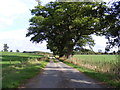 TG2505 : The entrance to Bixley Park Farms by Geographer