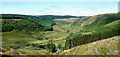 SN8056 : Cwm Tywi from Coed Nantyrhwch, Powys by Roger  D Kidd