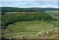 SN8055 : Tywi forest by Cwm Tywi, Ceredigion by Roger  D Kidd