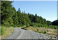 SN8155 : Forestry road in Coed Nant-yr-hwch, Powys by Roger  D Kidd