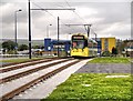 SJ9299 : Tram Approaching Ashton West by David Dixon