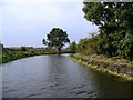 SU5466 : Back-filled north bank, Kennet & Avon canal by Christine Johnstone