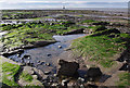 SD4254 : Foreshore at Plover Hill by Ian Taylor