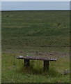 TF3941 : Seat overlooking the salt marsh at Freiston Shore by Mat Fascione