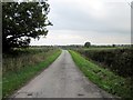 SJ4052 : Lower Road approaching Holt by Jeff Buck