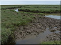 TF4144 : Salt marsh and tidal creek by Mat Fascione