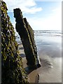 SD2062 : Walney Island Groynes (6) - Close-up of northern row by Rob Farrow