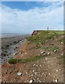 SD2062 : Coastal bank, Hare Hill, Walney Island by Rob Farrow